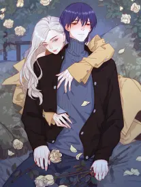 漫画改编动漫免费观看 巷口的猫又
